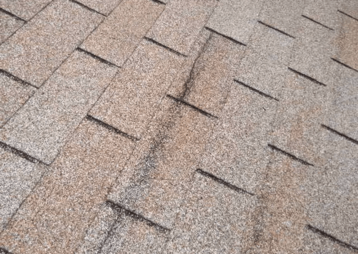 roof leaks