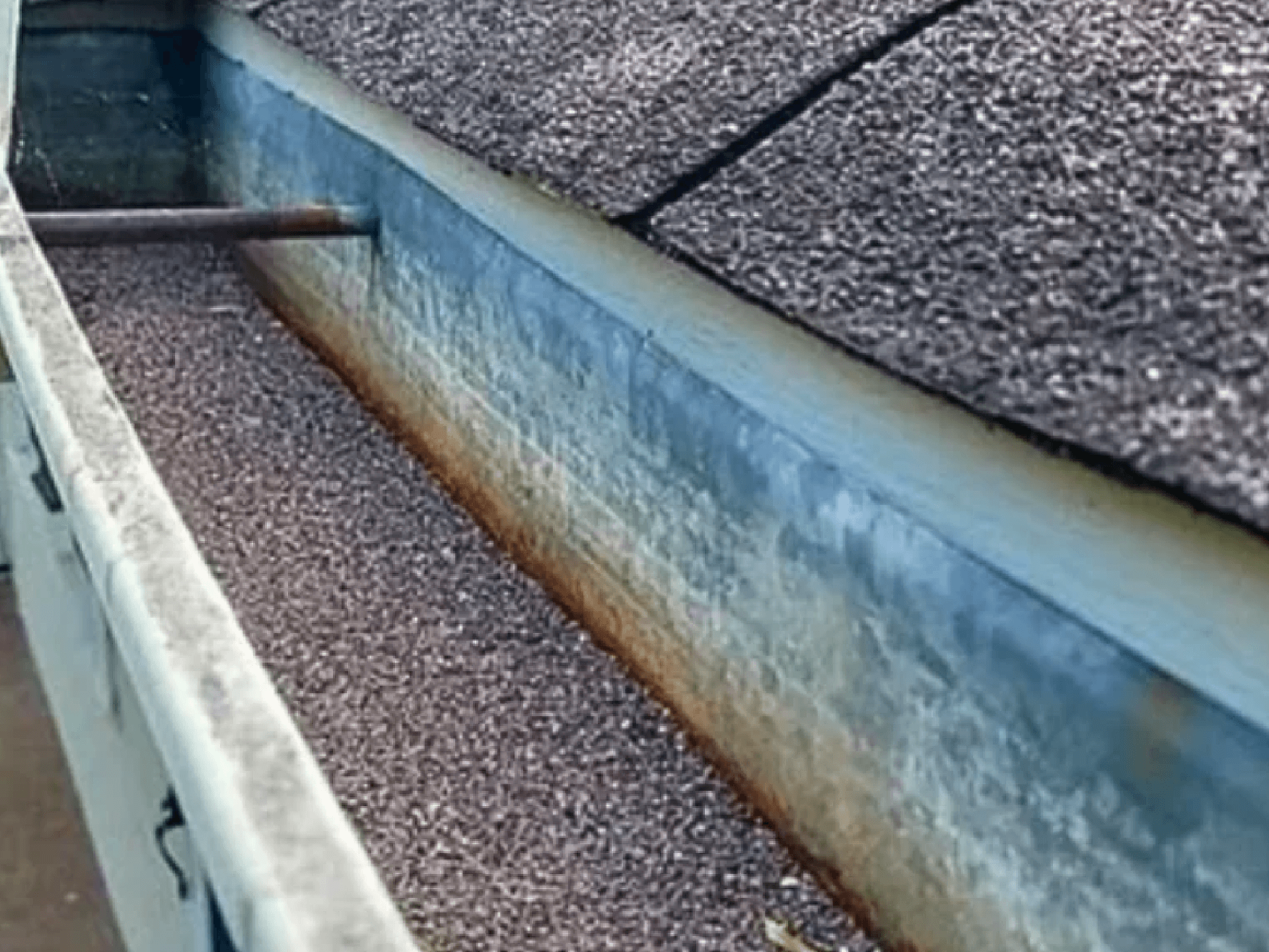 Home 7 shingle granules in gutter
