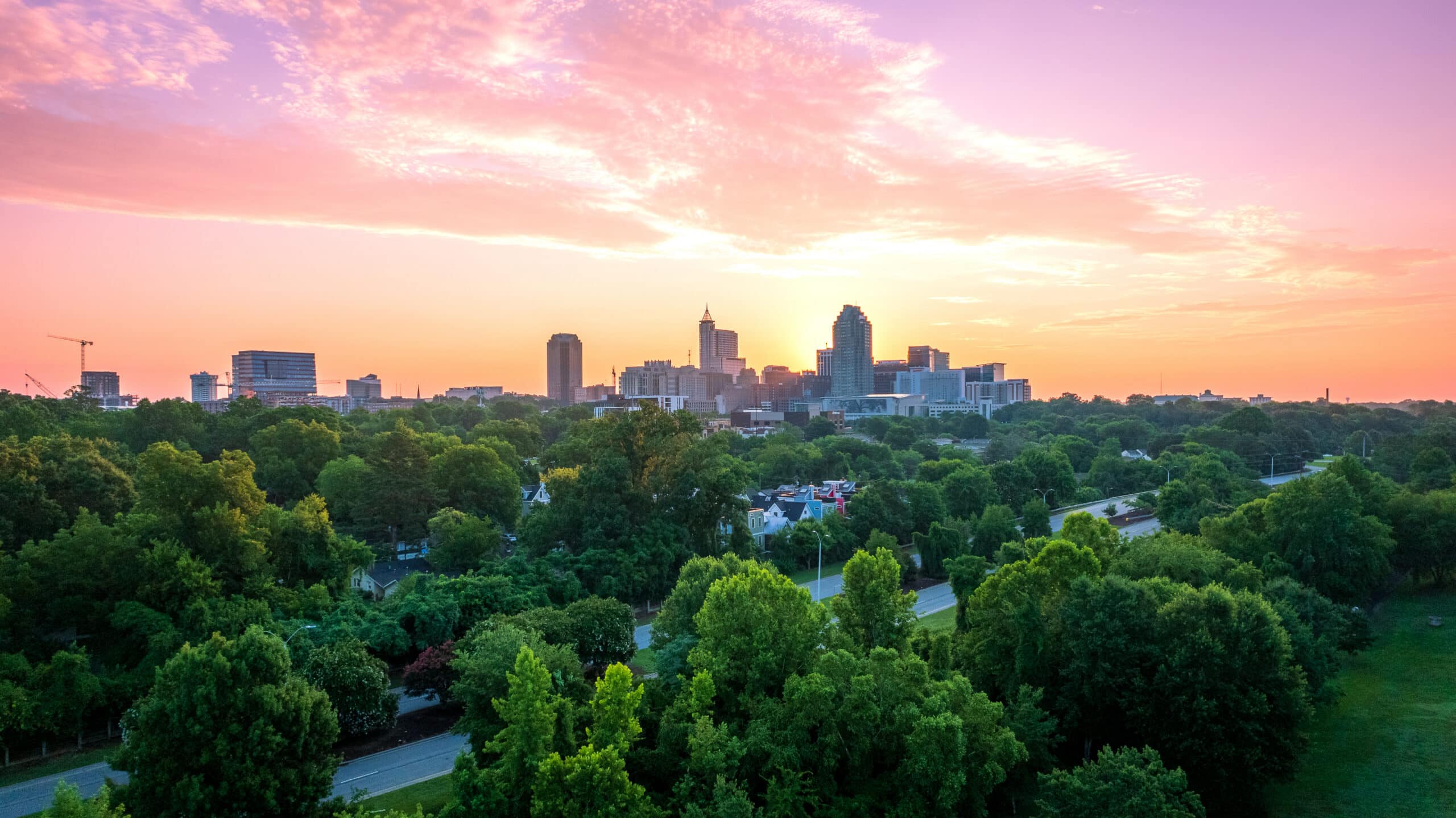 sunset city skyline over a green forest, pink‑orange sky behind tall buildings.