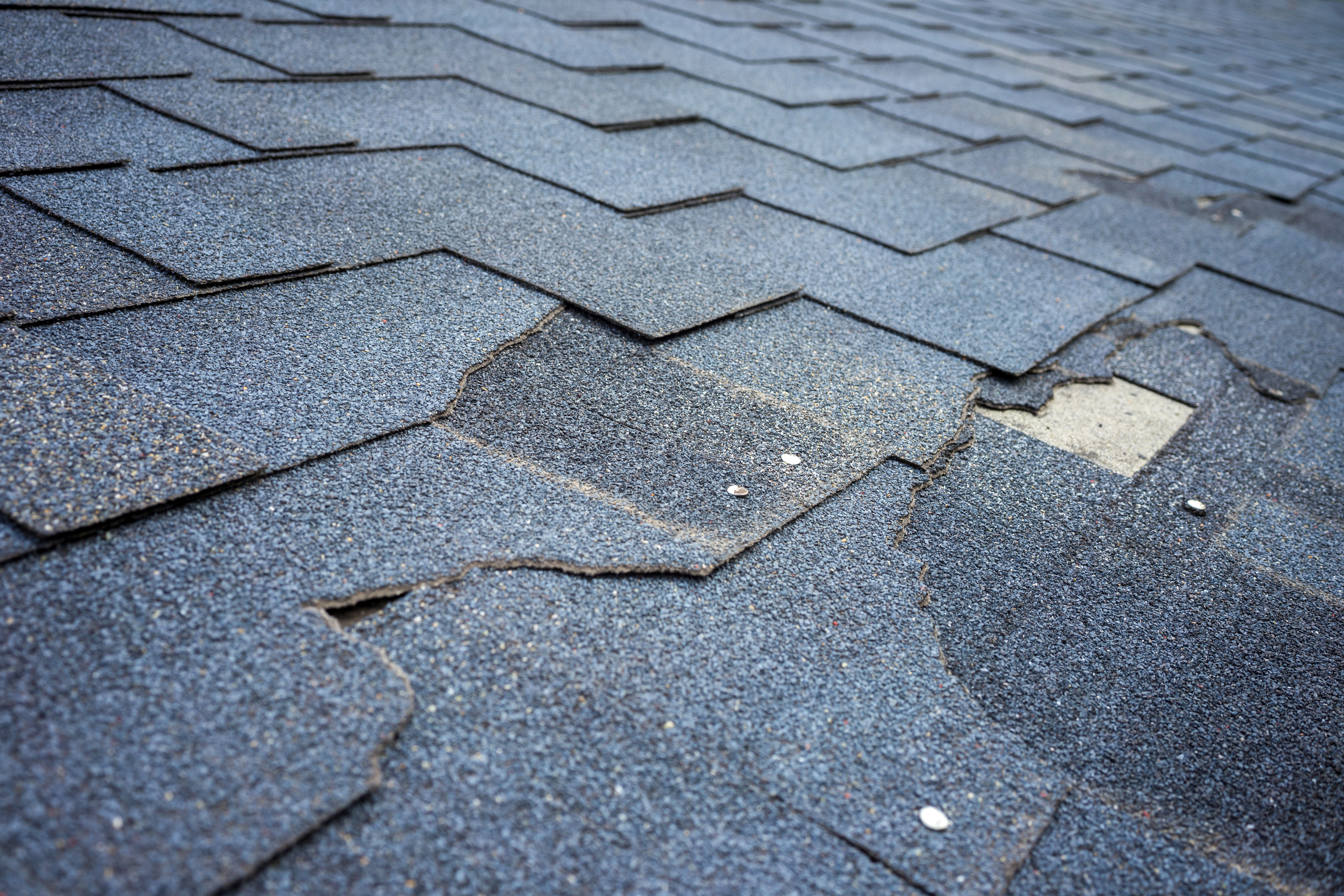 Emergency Roof Repairs During Raleighs Hurricane Season